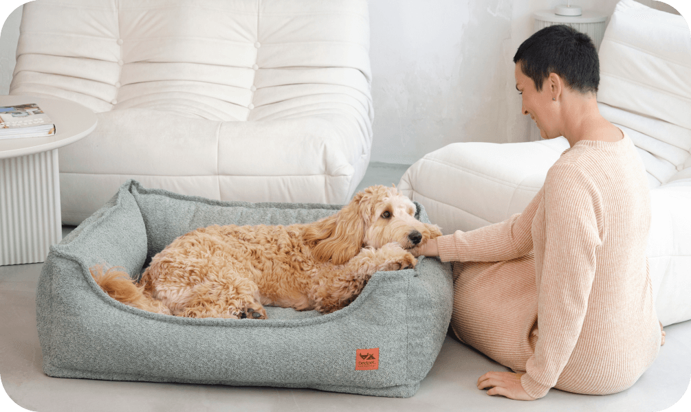 OrtoPelíšky o nás